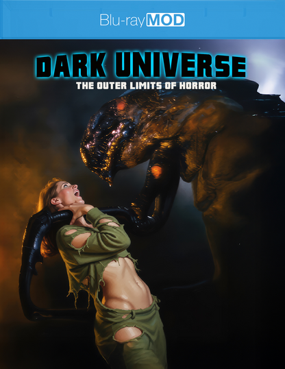 Dark Universe